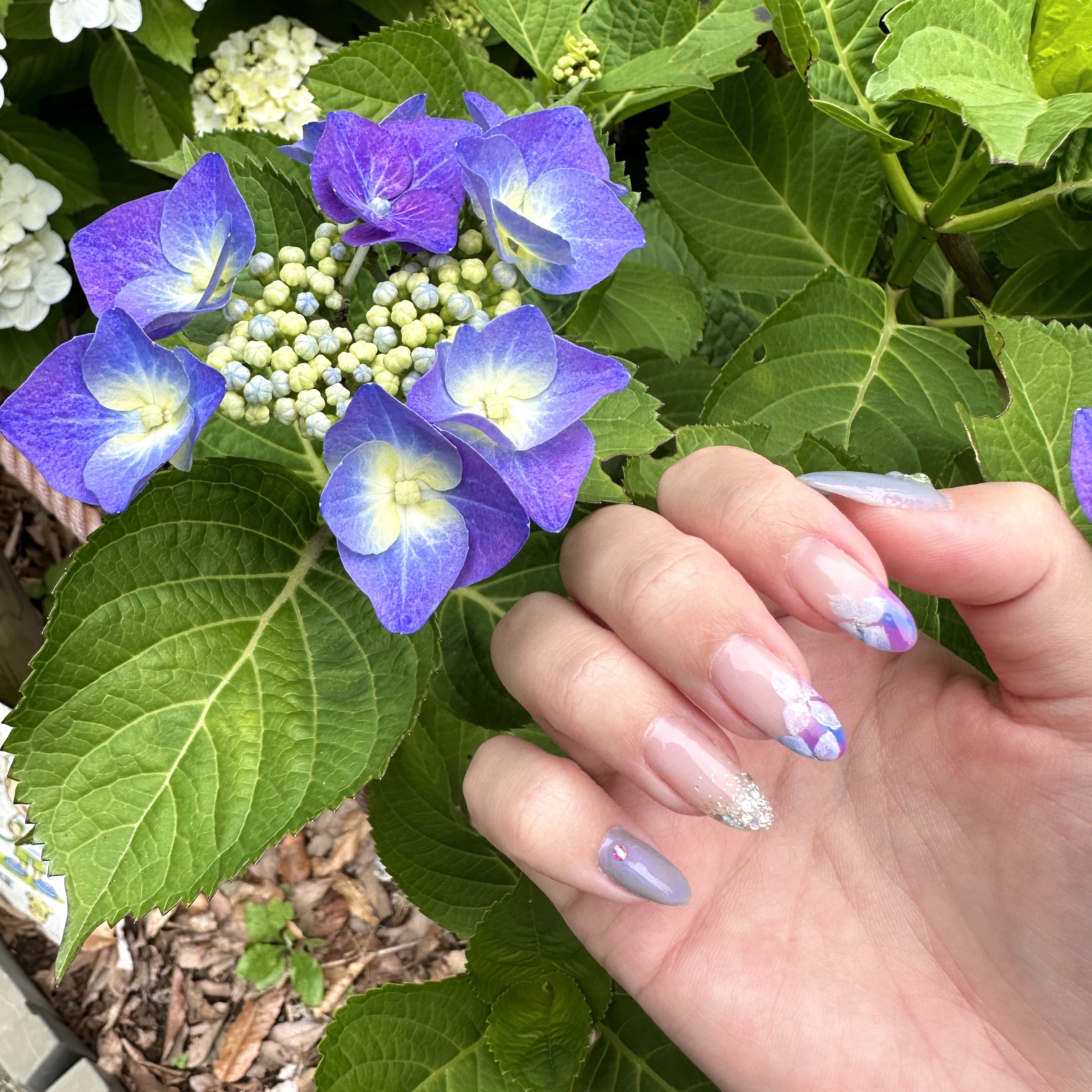 ジェルネイル（ライト対応）/セリア/ジェルネイルを使ったクチコミ（2枚目）