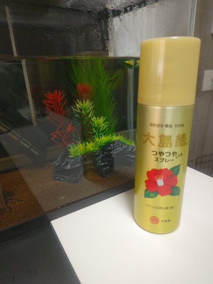 ヘアスプレー/大島椿/ヘアスプレーを使ったクチコミ(1枚目)