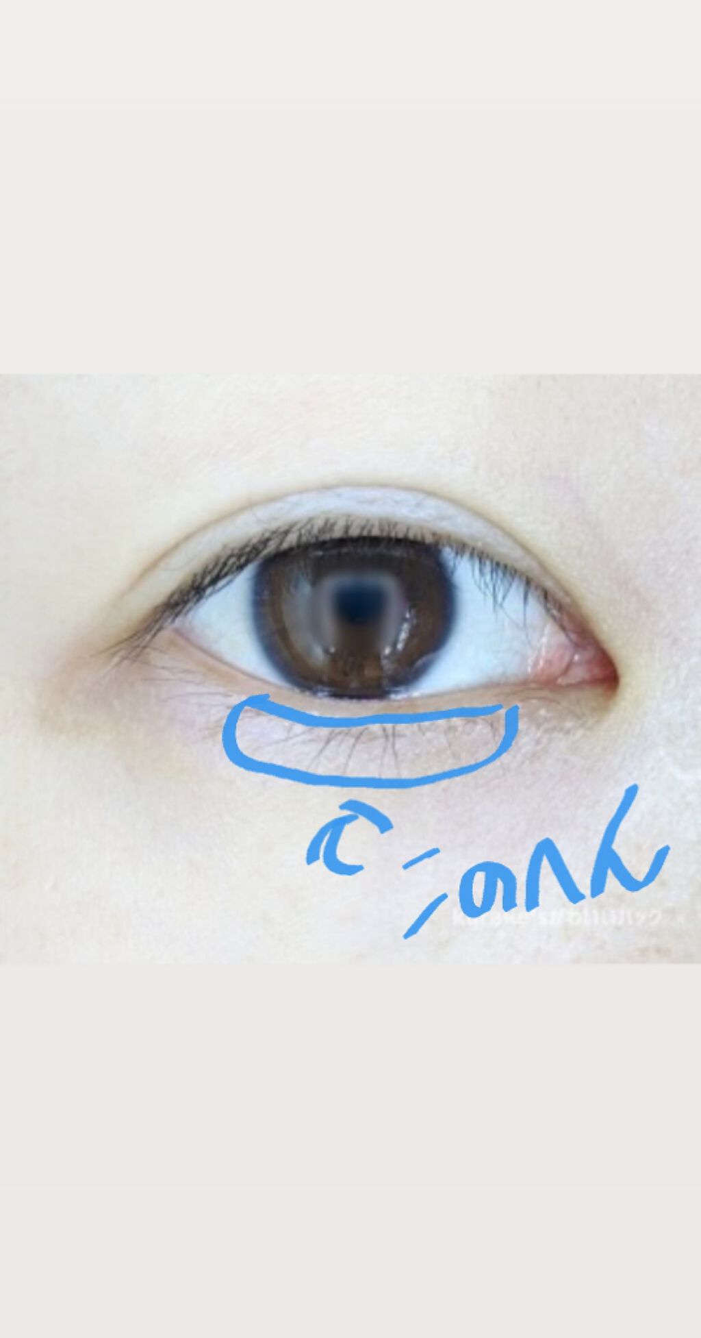 スパークリングアイグロス/スウィーツ スウィーツ/リキッドアイシャドウを使ったクチコミ(3枚目)