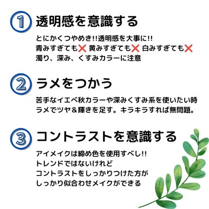 ふとめのままぷぅ♡フォロバ on LIPS 「ついにちゃんとした16タイプパーソナルカラー診断を受けてきまし..」(6枚目)