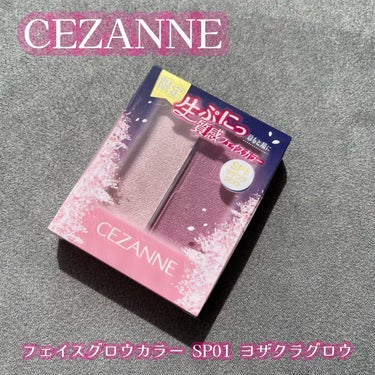 ⋈︎   CEZANNE   フェイスグロウカラー

      SP1   ヨザクラグロウ   スウォッチ







入手に苦労したセザンヌの
ヨザクラグロウです



売り切れるのもわかる可愛さ