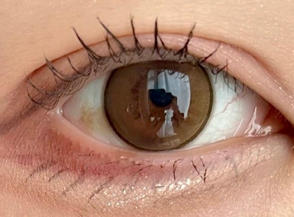 MOLAK 1day/MOLAK/ワンデー(1DAY)カラコンを使ったクチコミ(3枚目)