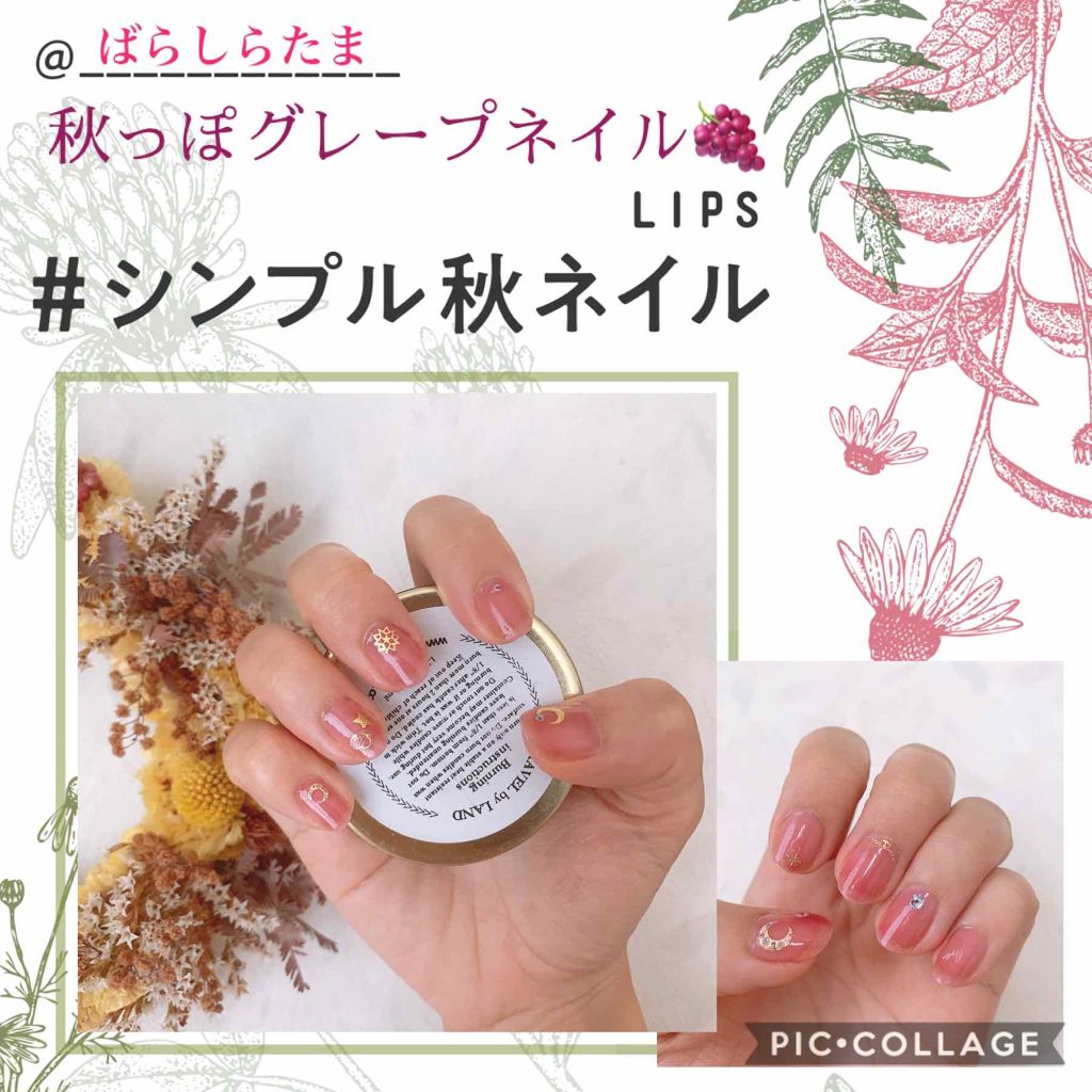 #シンプル秋ネイル,#サンリオネイル,#シロップネイル,#セルフネイル,#秋ネイルのネイルデザイン