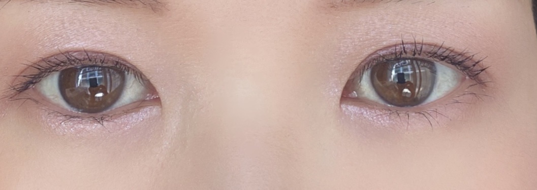 パーフェクトスタイリストアイズ 26 ミラージュモーヴ/キャンメイク/アイシャドウパレットを使ったクチコミ（3枚目）