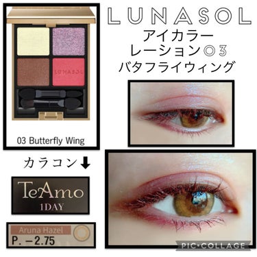 アイカラーレーション/LUNASOL/アイシャドウパレットを使ったクチコミ（1枚目）