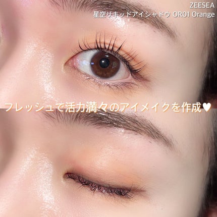 ダイヤモンドシリーズ 星空リキッドアイシャドウ/ZEESEA/リキッドアイシャドウを使ったクチコミ(6枚目)