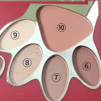 トラ十色アイシャドウパレット/COLORKEY/アイシャドウパレットを使ったクチコミ(6枚目)