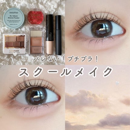 ノーセバム ミネラルパウダー N/innisfree/ルースパウダーを使ったクチコミ(1枚目)