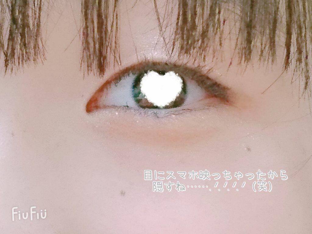 ペリペラ インク ポケット シャドウ パレット 03 BROWN FILTER 360/PERIPERA/アイシャドウパレットを使ったクチコミ（2枚目）