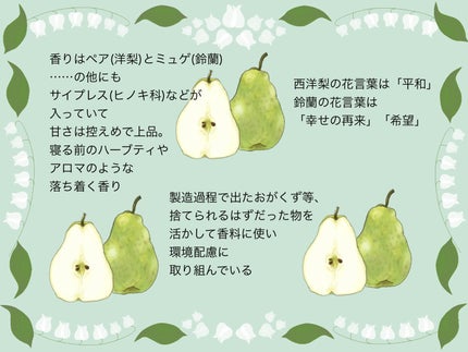 SS ビオリス ピュアレタッチ ぱやとぅや シャンプー/ヘアコンディショナー/SSビオリス/市販シャンプーを使ったクチコミ(5枚目)