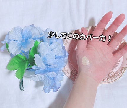 ピンクティーツリーカバーアップグロウクッション/APLIN/クッションファンデーションを使ったクチコミ(3枚目)