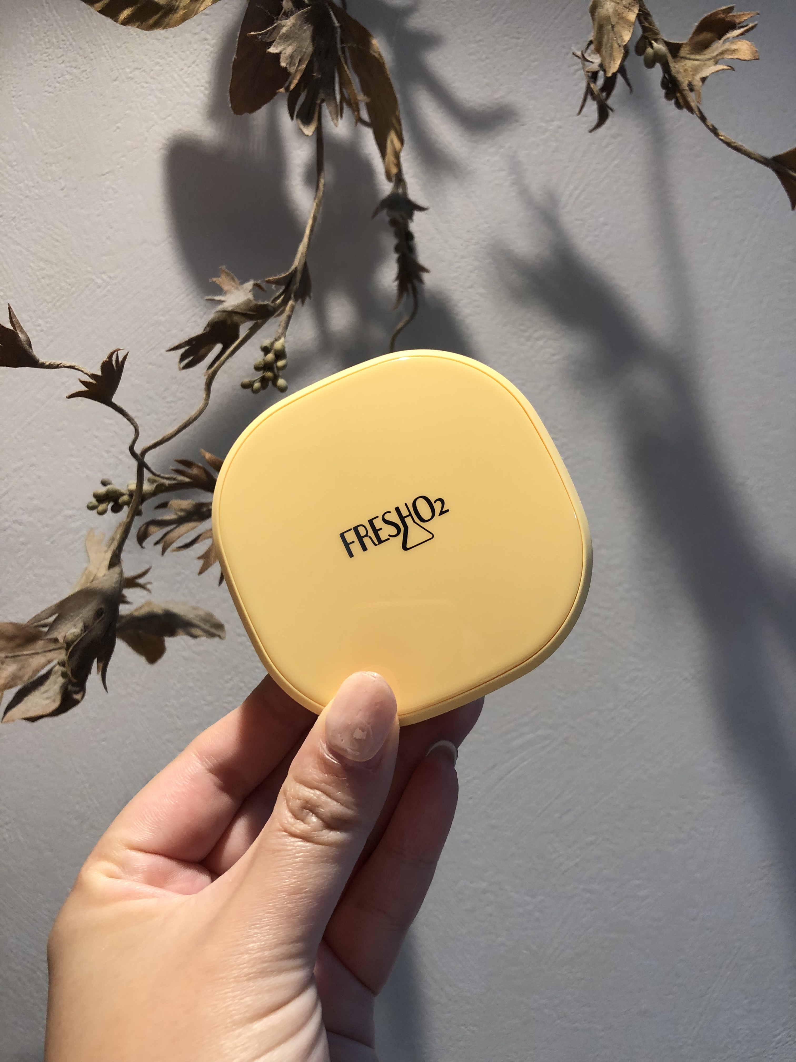 クラウドオールウェイズオン クッションファンデ ーション/FRESHO2/クッションファンデーションを使ったクチコミ（1枚目）