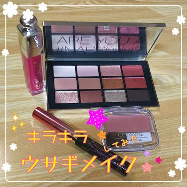 ナーズイスト ウォンテッド アイシャドーパレット/NARS/アイシャドウパレットを使ったクチコミ（1枚目）