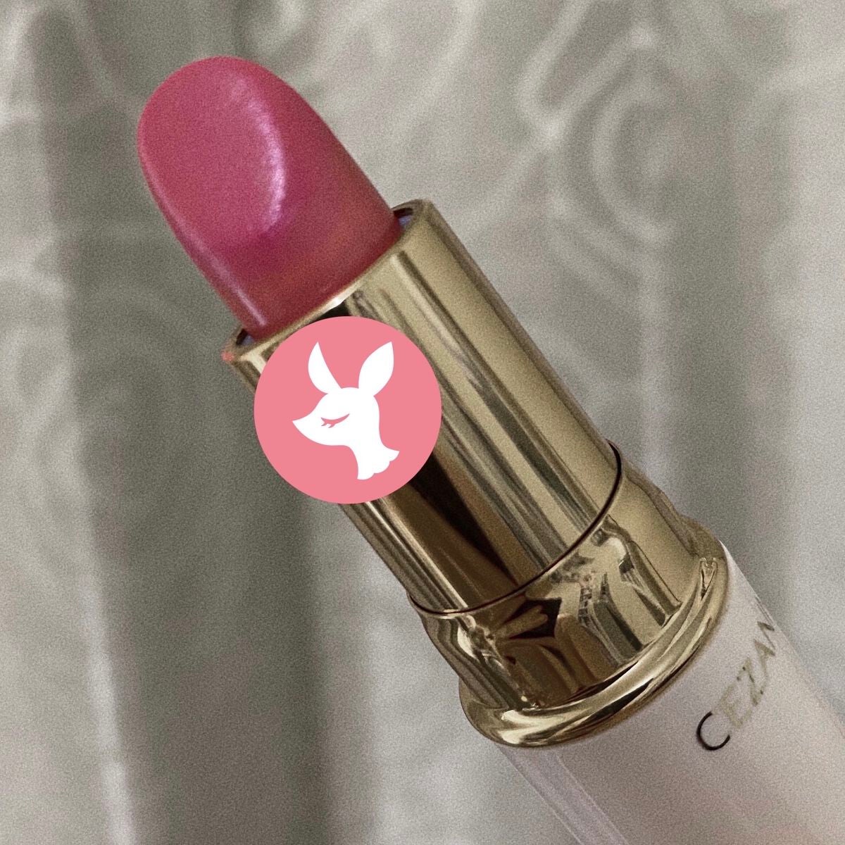 ラスティング リップカラーN/CEZANNE/口紅を使ったクチコミ(4枚目)