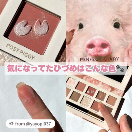 エクスプローラ12色 動物アイシャドウパレット/PERFECT DIARY/アイシャドウパレットを使ったクチコミ(5枚目)