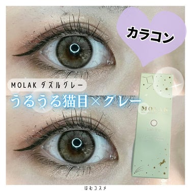 \ 誰でも簡単キャットeye🐈‍⬛ /

#MOLAK　#ダズルグレー
今一番お気に入りのカラコンブランド💕
#宮脇咲良 ちゃんプロデュースのカラコン

子猫のようなうるっとした瞳になれるグレーカラコン