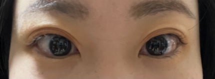 アニマルアイシャドウ(4シェード)/ZEESEA/アイシャドウパレットを使ったクチコミ(6枚目)