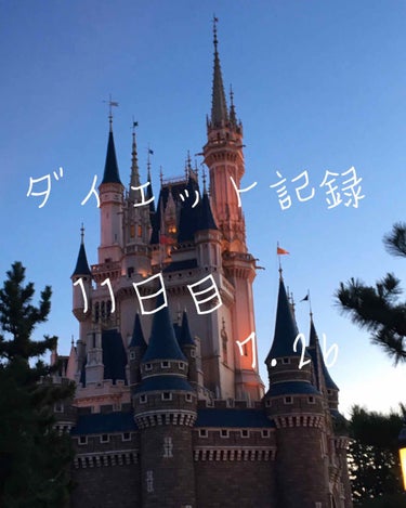 どうもNANAです！
今日は11日目です。

┈┈┈┈┈┈┈┈Today┈┈┈┈┈┈┈

体重  50.4（今日は調子に乗って大量に食べまくりました( ᐙ )）

運動  腹筋
          散歩