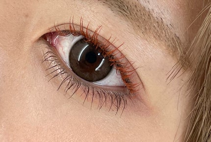 ビューティーアップマスカラ/PHOEBE BEAUTY UP/マスカラを使ったクチコミ(3枚目)