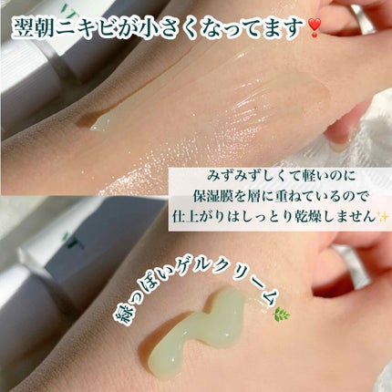 CICA クリーム/VT/フェイスクリームを使ったクチコミ(7枚目)