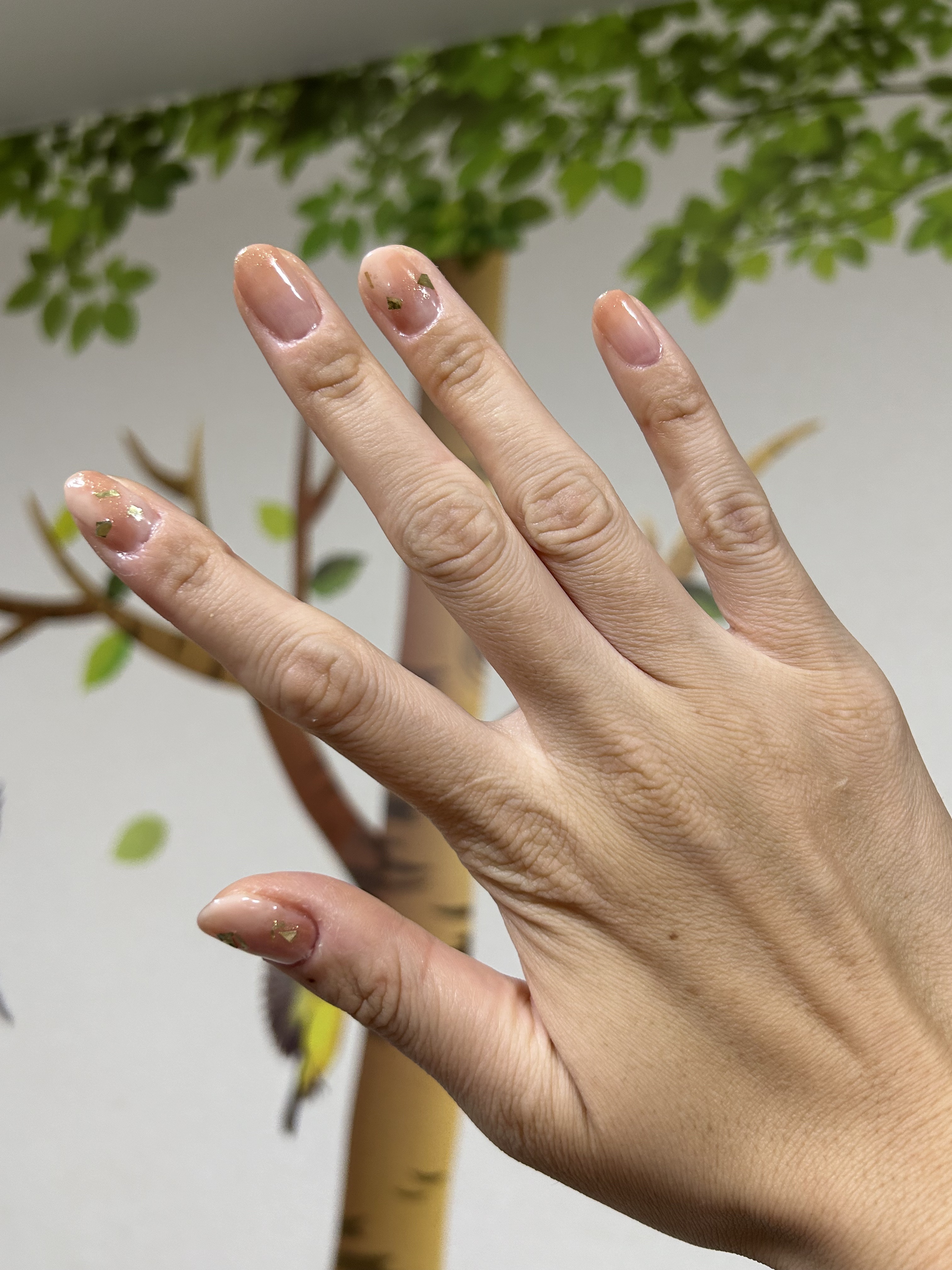 カラフルネイルズ/キャンメイク/マニキュアを使ったクチコミ（1枚目）