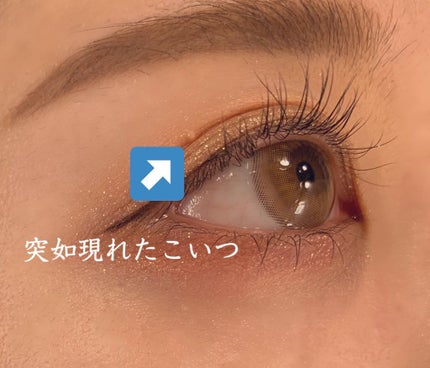 つぶぽろん目元温和漢/つぶぽろん/アイケア・アイクリームを使ったクチコミ(3枚目)