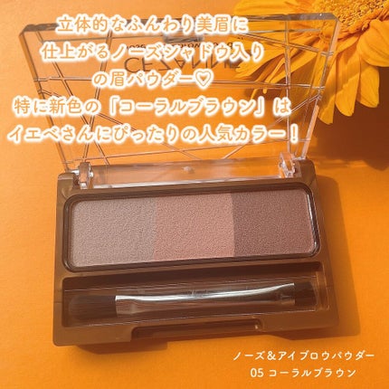 ノーズ&アイブロウパウダー/CEZANNE/パウダーアイブロウを使ったクチコミ(2枚目)