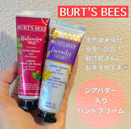 ラベンダー&ハニーハンドクリームwithシアバター/BURT'S BEES/ハンドクリームを使ったクチコミ(1枚目)