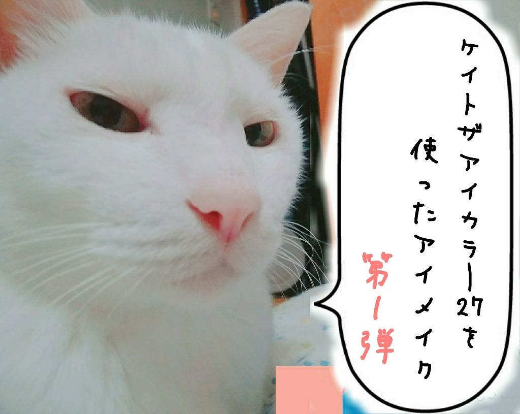 ヴィセ アヴァン シングルアイカラー/Visée/単色アイシャドウを使ったクチコミ（1枚目）