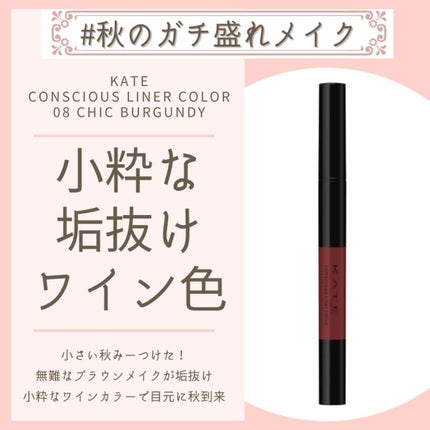 コンシャスライナーカラー/KATE/リキッドアイライナーを使ったクチコミ(1枚目)