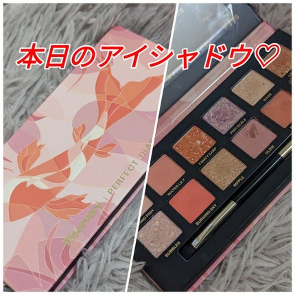 エクスプローラ12色 動物アイシャドウパレット/PERFECT DIARY/アイシャドウパレットを使ったクチコミ(1枚目)