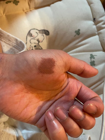 スマートミニアイブロウカラー/キャンメイク/眉マスカラを使ったクチコミ(2枚目)