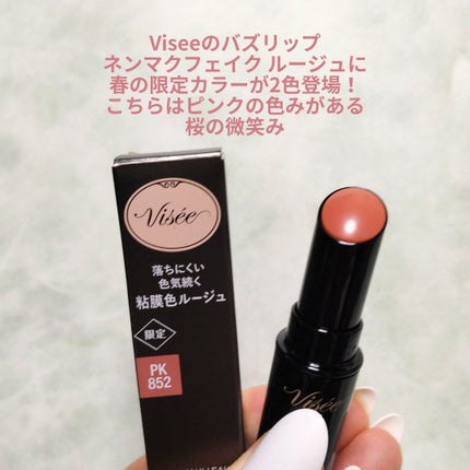 ネンマクフェイク ルージュ/Visée/口紅を使ったクチコミ(2枚目)