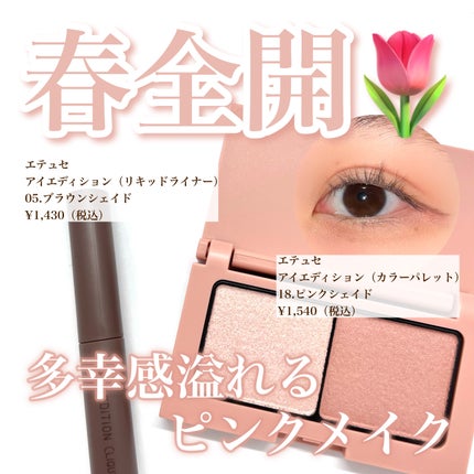 エテュセ アイエディション(カラーパレット)/ettusais/アイシャドウパレットを使ったクチコミ(1枚目)