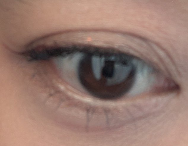 MSアイシャドウパレット/mirrorside/アイシャドウパレットを使ったクチコミ（2枚目）