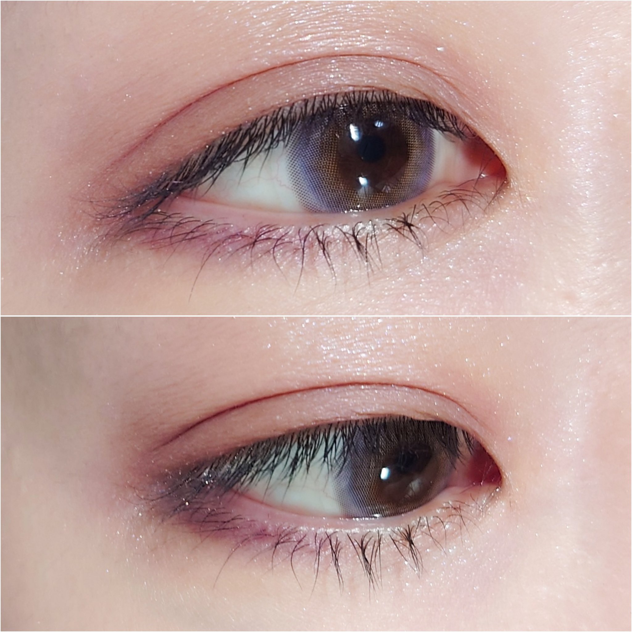 FrenchShine1day/OLENS/ワンデー（１DAY）カラコンを使ったクチコミ（3枚目）