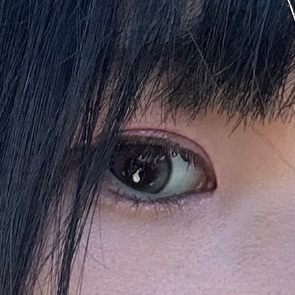Double Tint 1day/OLENS/カラーコンタクトレンズを使ったクチコミ(4枚目)