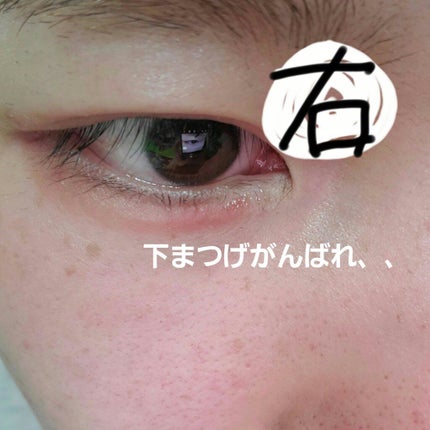 豆腐さんっ(現在マツ育日記の人) on LIPS 「本編は★へぶっとび!!お久しぶりです! と言いたいところですが..」(4枚目)