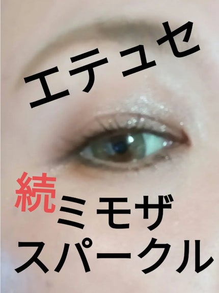 エテュセ アイエディション(カラーパレット)/ettusais/アイシャドウパレットを使ったクチコミ(1枚目)