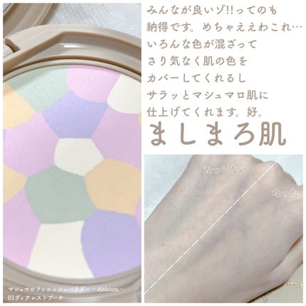 シルキースフレアイズ(マットタイプ)/キャンメイク/アイシャドウパレットを使ったクチコミ(5枚目)