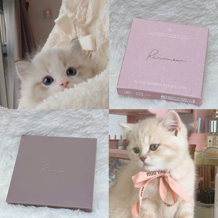 インザミラーアイパレット/Ririmew/アイシャドウパレットを使ったクチコミ(6枚目)