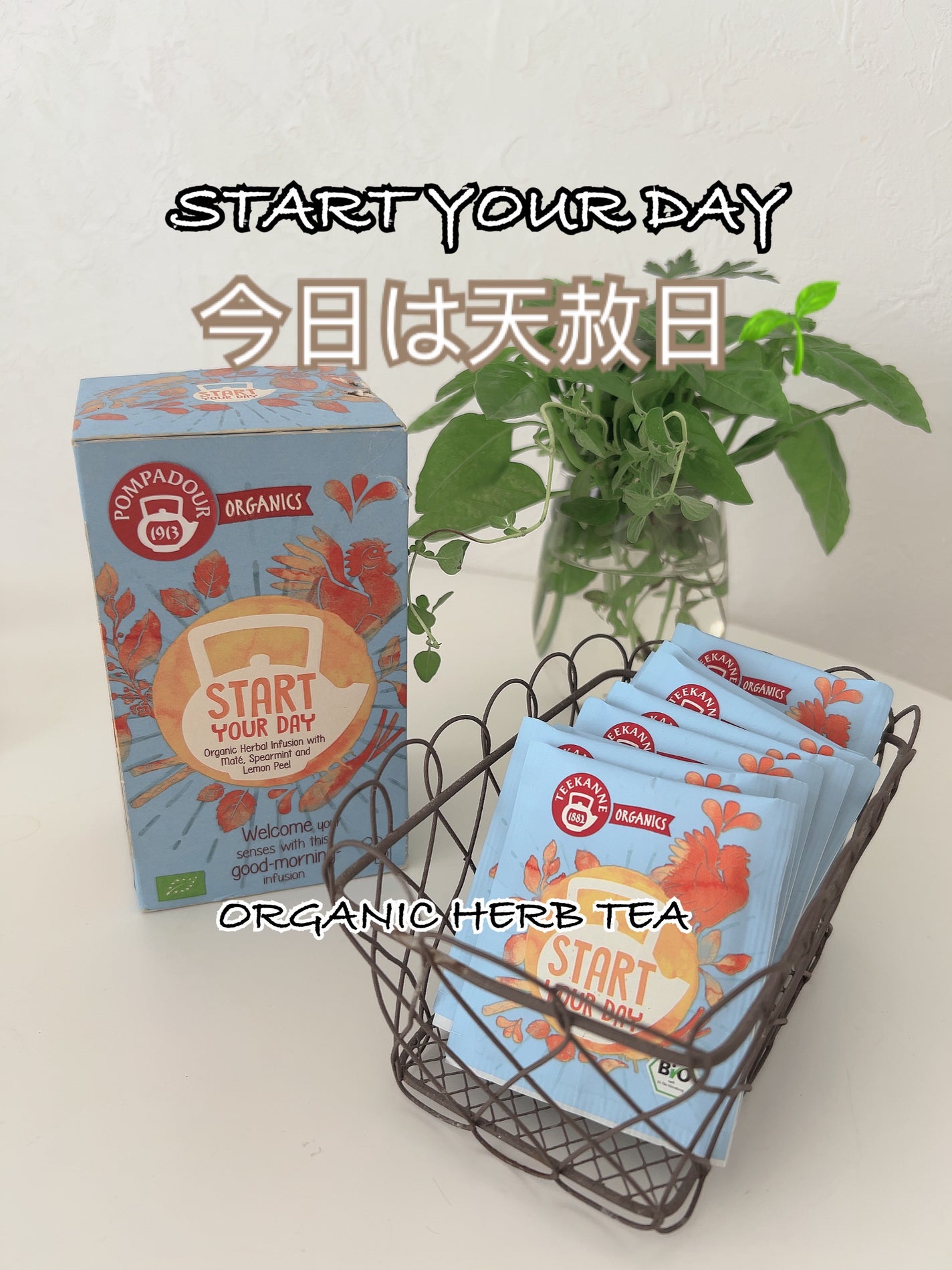 ひふみレイキ💫フォロバ♾️ on LIPS 「#ボディメイク応援フード今日は天赦日🌱素敵な一日のスタートを🎉..」(1枚目)