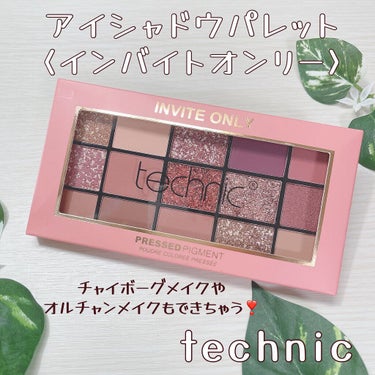 15 アイシャドウパレット/technic/アイシャドウパレットを使ったクチコミ（1枚目）