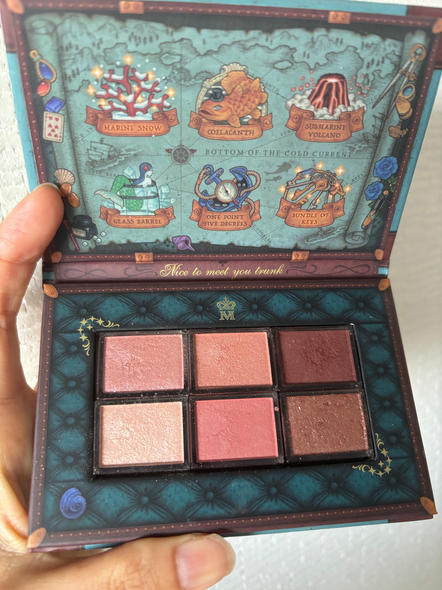 ナイストゥミーチュートランク/MAJOLICA MAJORCA/アイシャドウパレットを使ったクチコミ(1枚目)