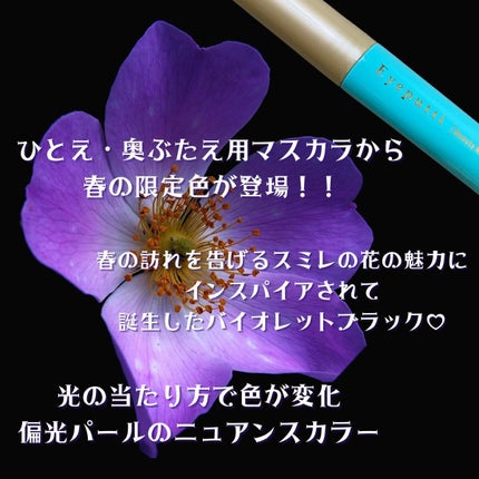 ひとえ・奥ぶたえ用マスカラ/アイプチ®/マスカラを使ったクチコミ(2枚目)