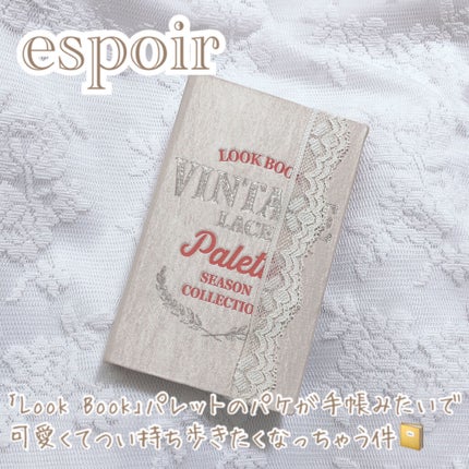 2021 F/Wルックブックパレット/espoir/アイシャドウパレットを使ったクチコミ(1枚目)