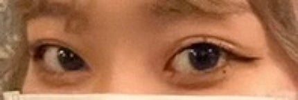 (≡^.^≡)♪ on LIPS 「わたしの二重の歴史について❤︎今日はわたしの二重の歴史に..」(6枚目)