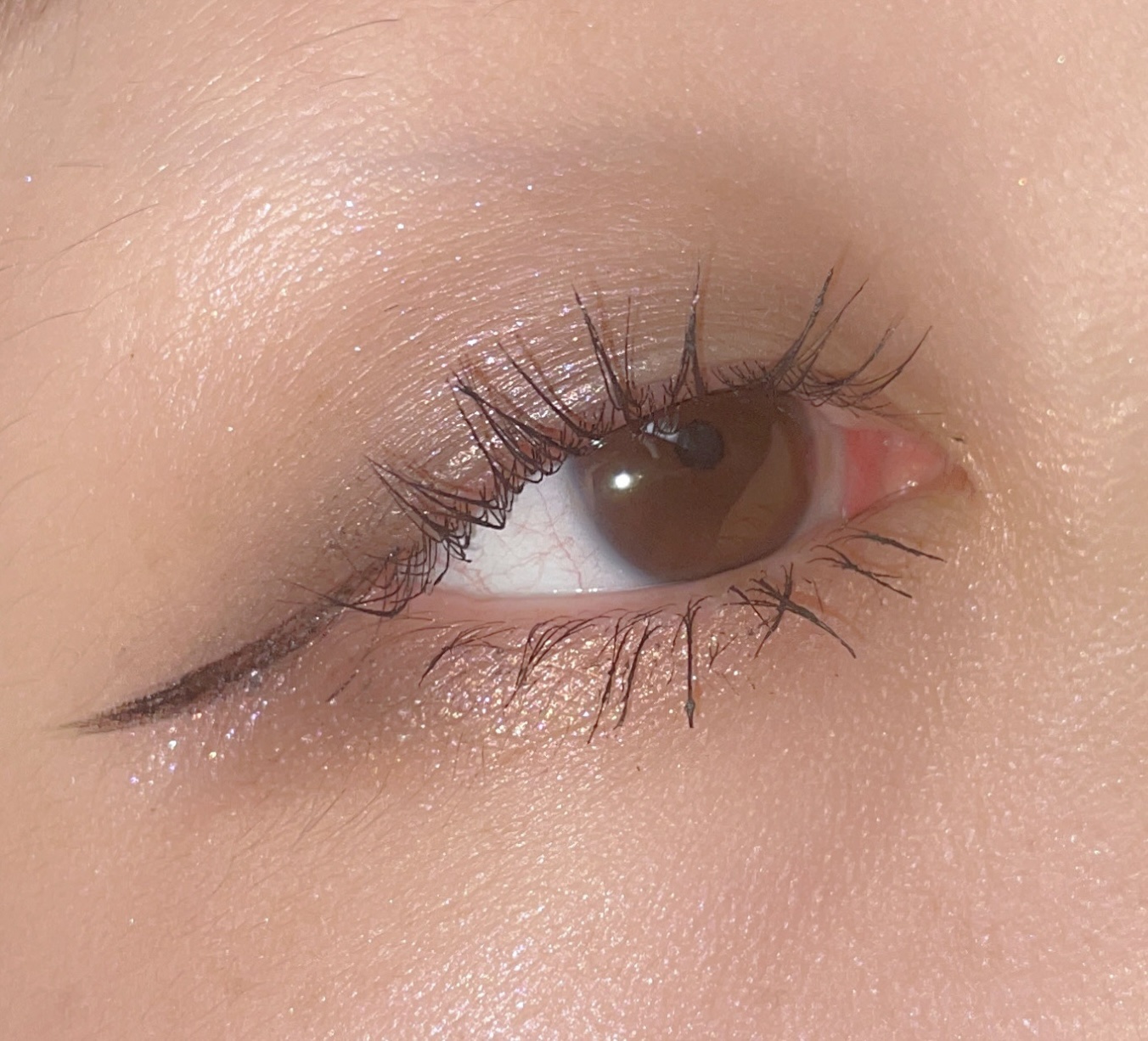 アイリッドニュアンス 06 ラムレーズン/UNMIX/単色アイシャドウを使ったクチコミ（1枚目）