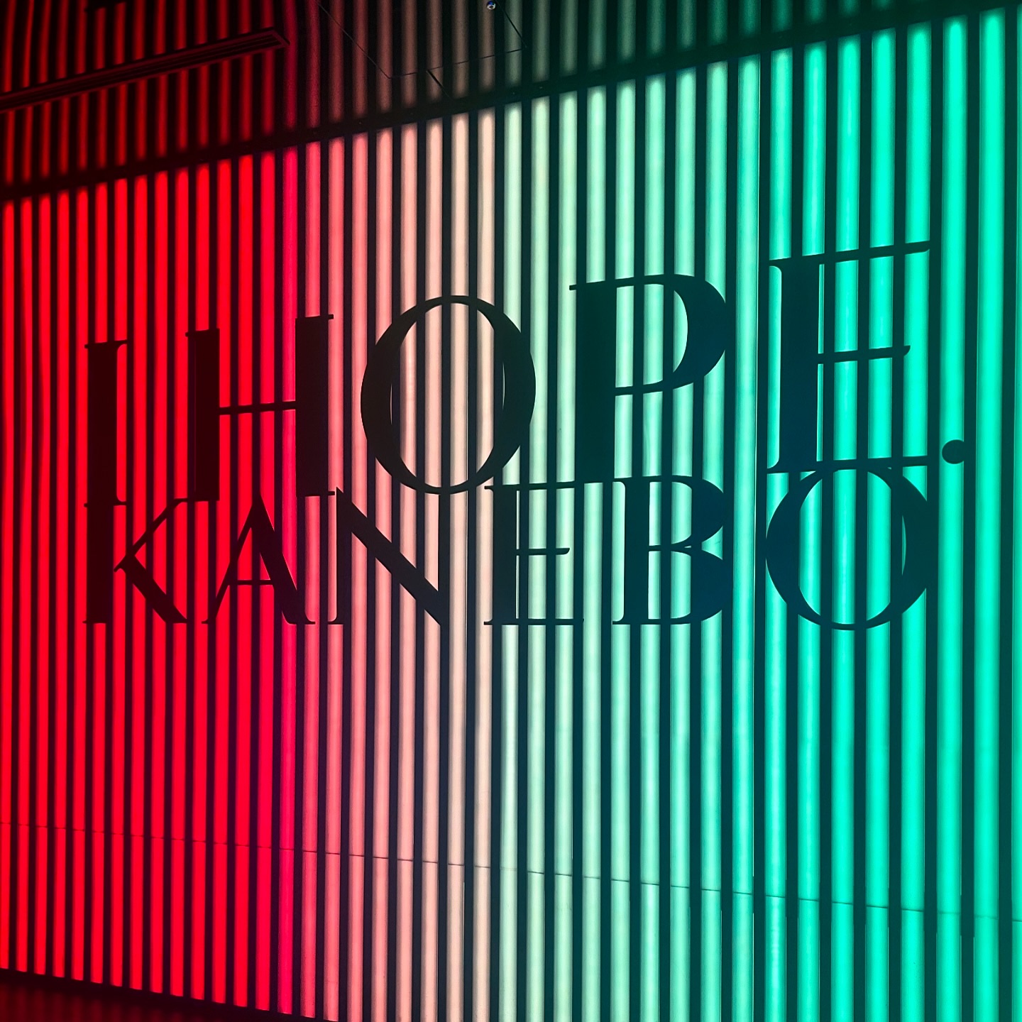 カネボウ フュージョニング ソリューション/KANEBO/美容液を使ったクチコミ（2枚目）