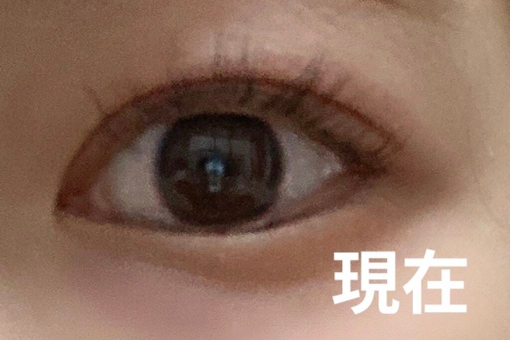 エグータム/アルマダスタイル/まつげ美容液を使ったクチコミ(2枚目)